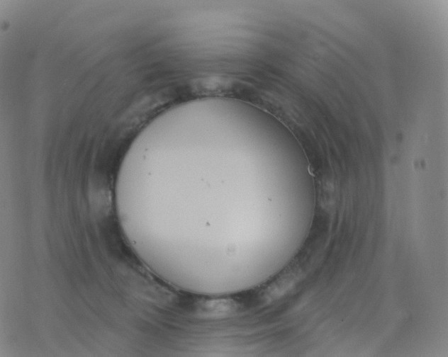 X0000076420324200610202226