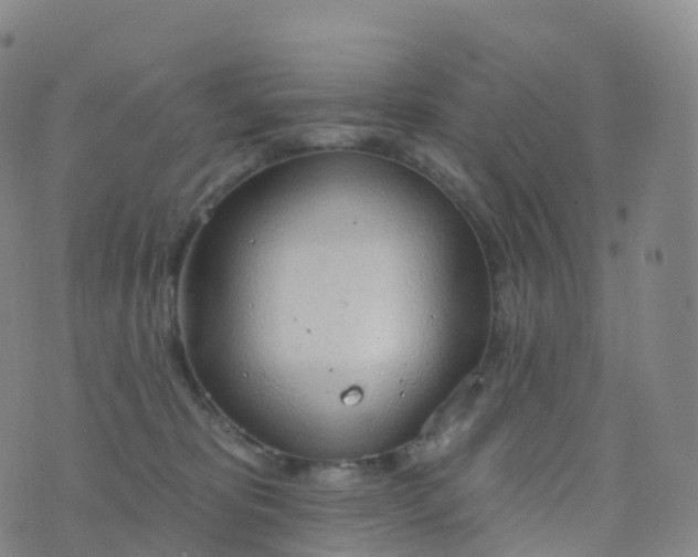 X0000076420325200610202226