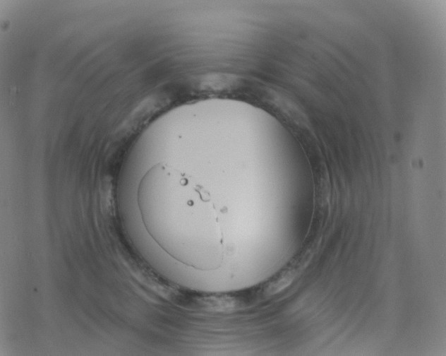 X0000076420328200610202226