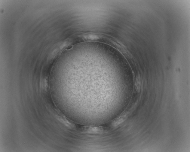 X0000076420330200610202226