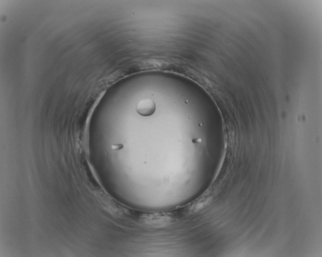 X0000076420331200610202226