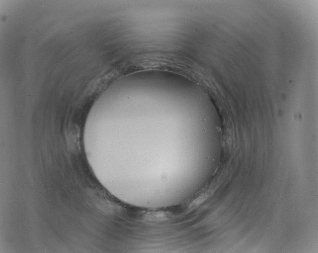 X0000076420332200610202226