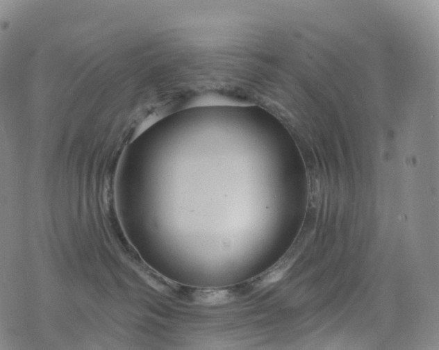 X0000076420334200610202226