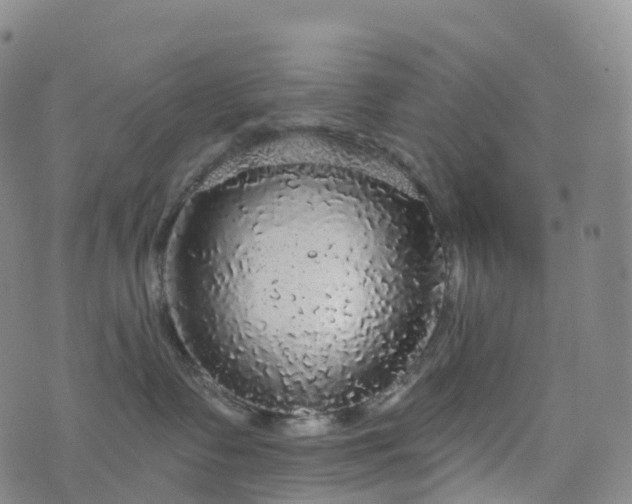 X0000076420335200610202226