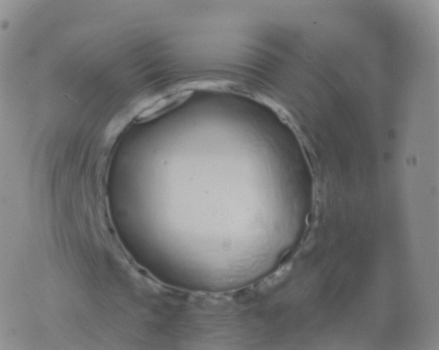 X0000076420337200610202225