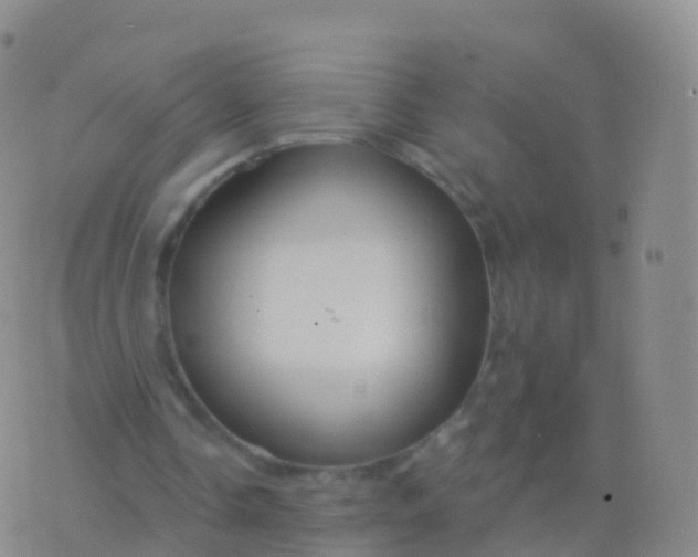 X0000076420338200610202225