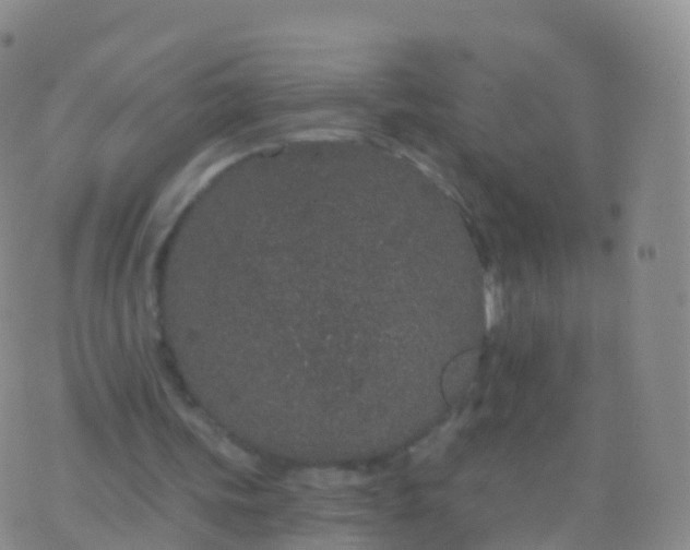 X0000076420339200610202225