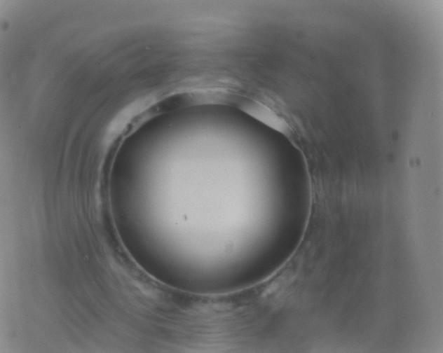 X0000076420340200610202225