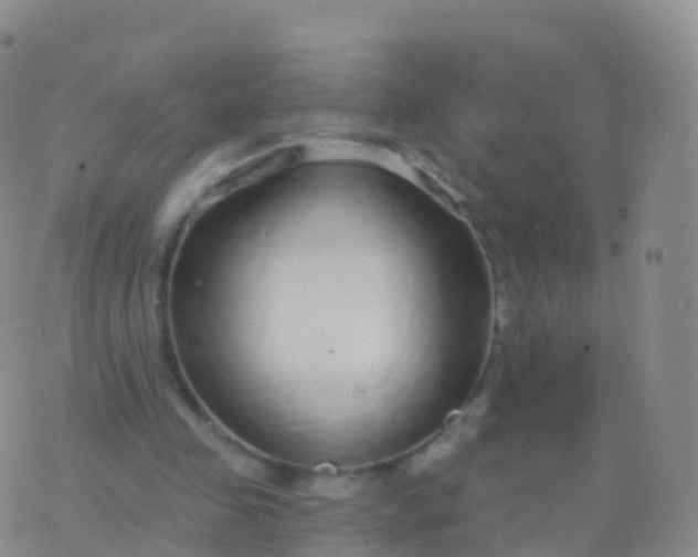 X0000076420341200610202225