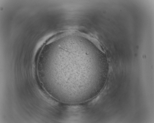 X0000076420342200610202225