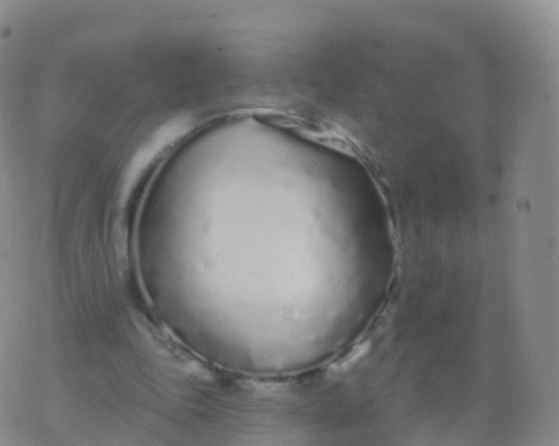 X0000076420343200610202225