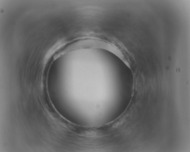 X0000076420344200610202225