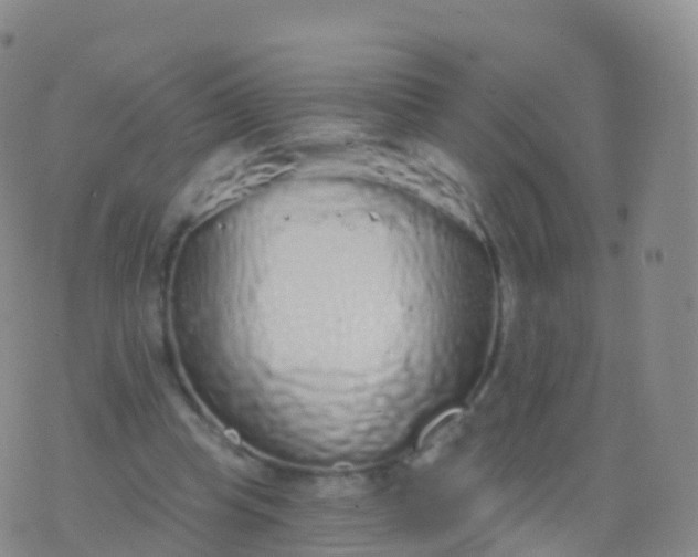 X0000076420345200610202225