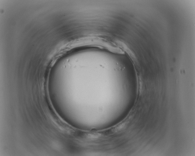 X0000076420346200610202225