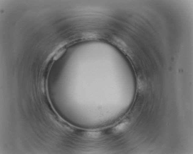 X0000076420347200610202225