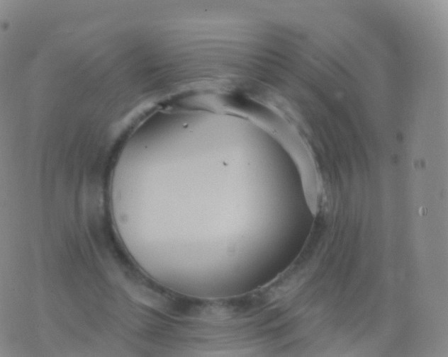 X0000076420348200610202225