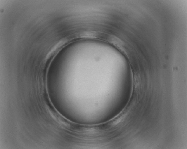 X0000076420349200610202225