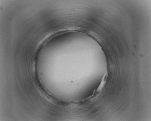 X0000076420350200610202225