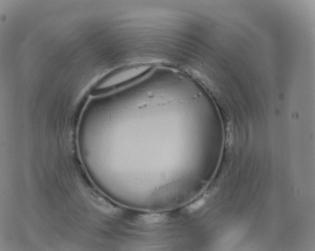 X0000076420351200610202225