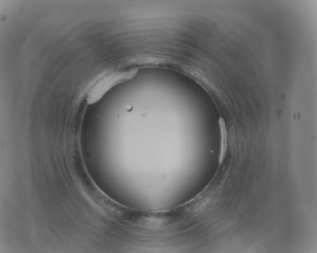 X0000076420352200610202225