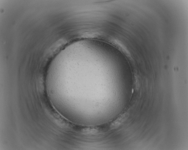 X0000076420354200610202225