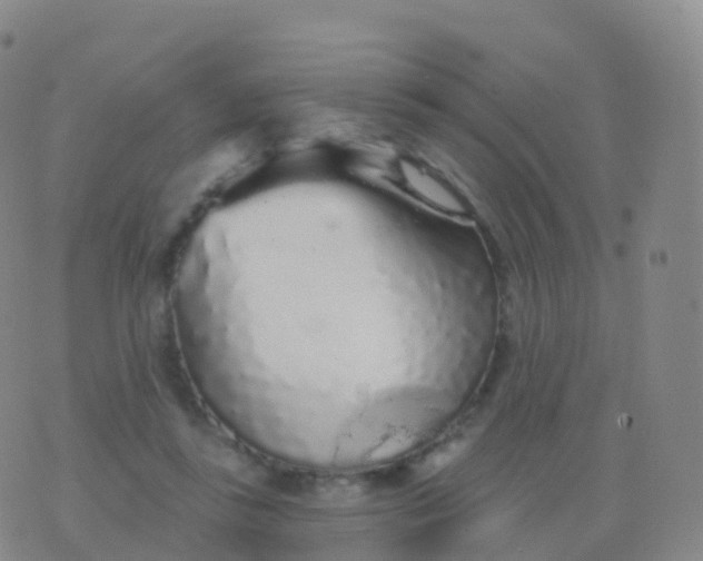 X0000076420355200610202226