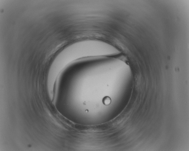 X0000076420356200610202226