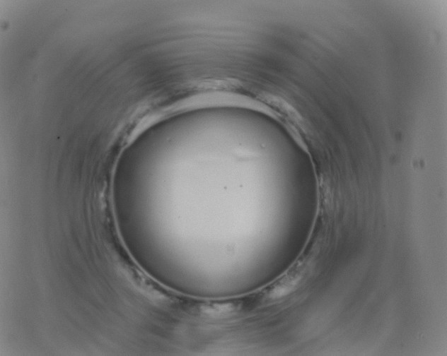 X0000076420357200610202226