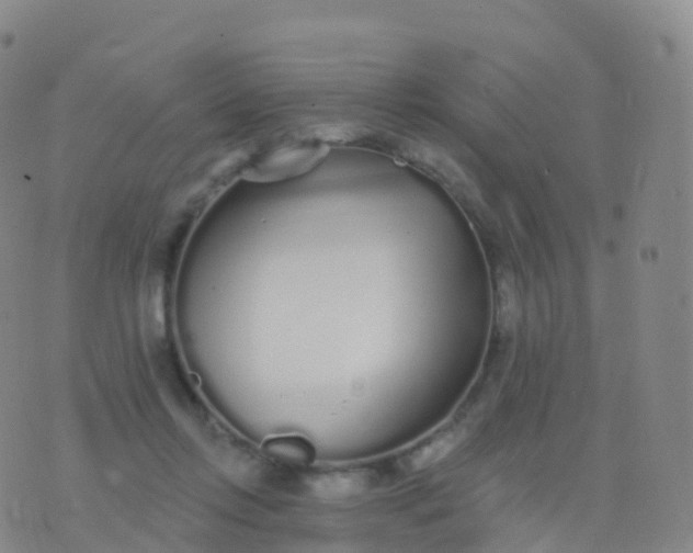 X0000076420358200610202226