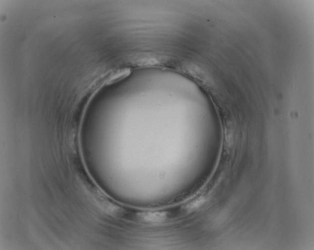 X0000076420359200610202226