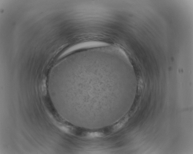 X0000076420360200610202226