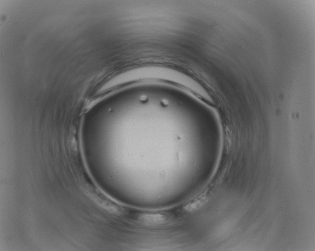 X0000076420361200610202226