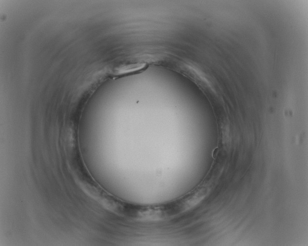 X0000076420362200610202226