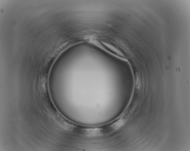 X0000076420363200610202226