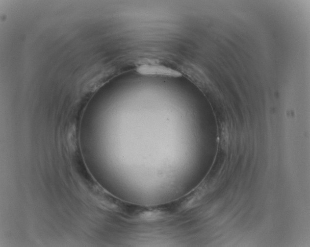 X0000076420364200610202226