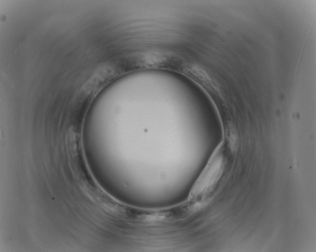 X0000076420366200610202226