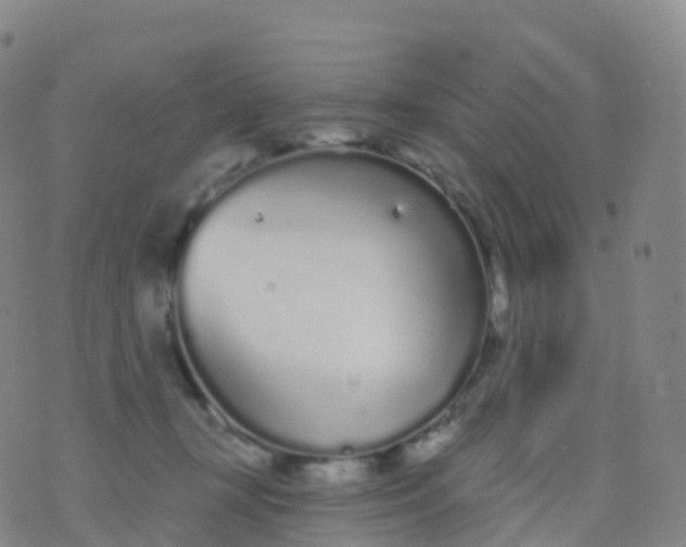 X0000076420367200610202226