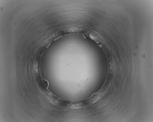 X0000076420368200610202226