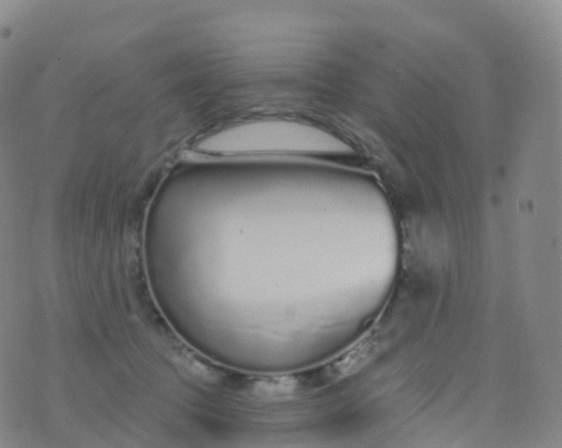 X0000076420369200610202226