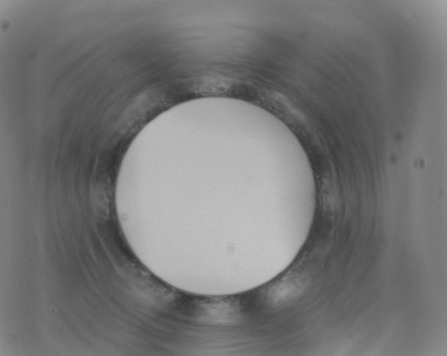 X0000076420370200610202226