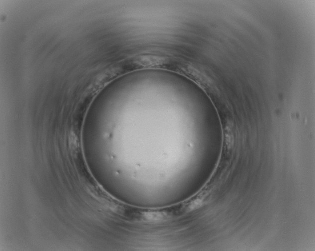 X0000076420371200610202226