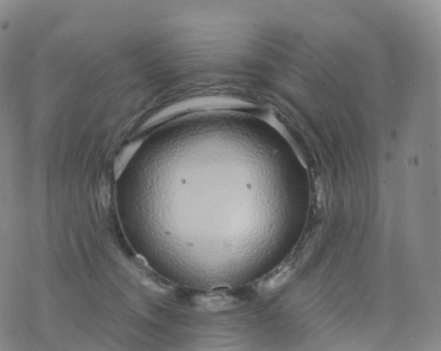 X0000076420372200610202226