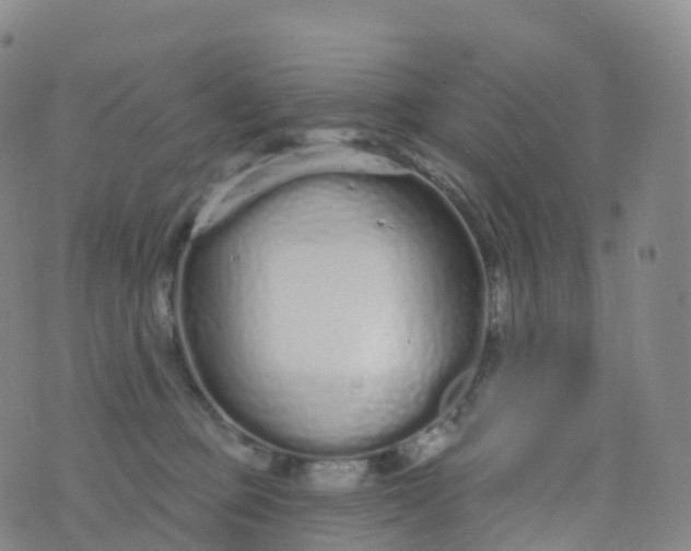 X0000076420373200610202226