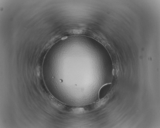 X0000076420374200610202226