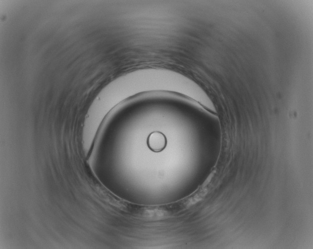 X0000076420376200610202226