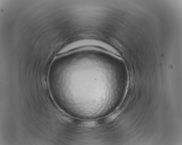 X0000076420377200610202226