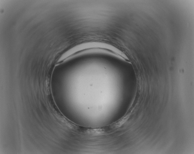 X0000076420378200610202226