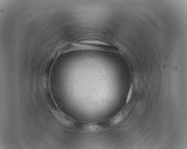 X0000076420379200610202226