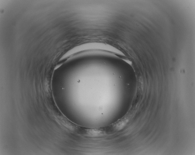 X0000076420380200610202226