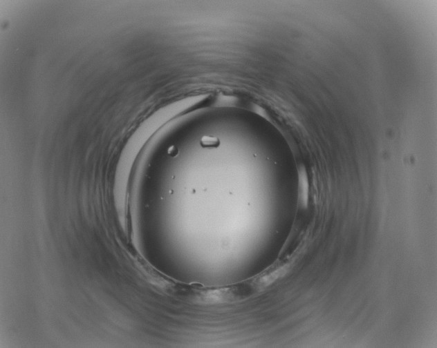 X0000076420382200610202226